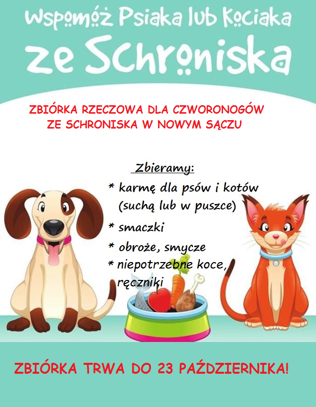 Zbiórka potrzebnych przedmiotów dla bezdomnych psów i kotów.