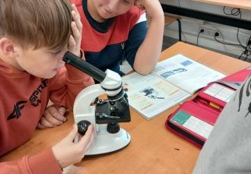 Tajniki mikroskopowania, czyli praktyczna lekcja biologii