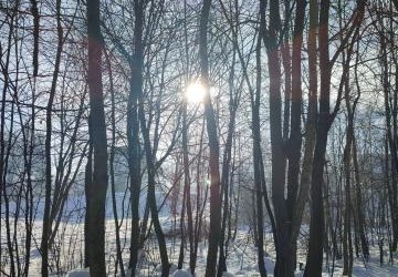 Fotografia jako dziedzina sztuki